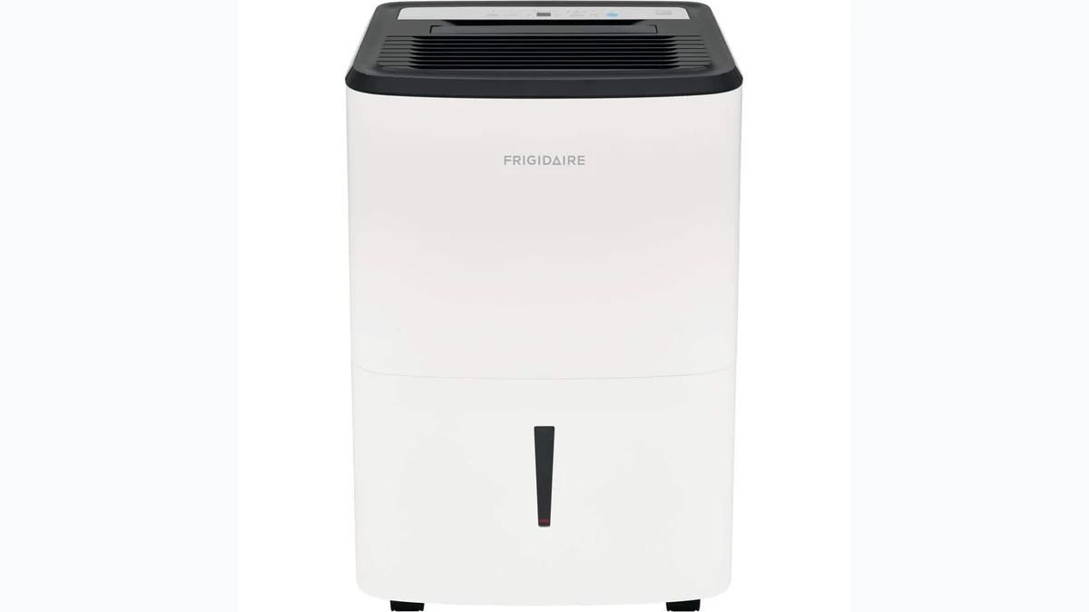Frigidaire FFAP5033W1 50-Pint Dehumidifier with Pump product image